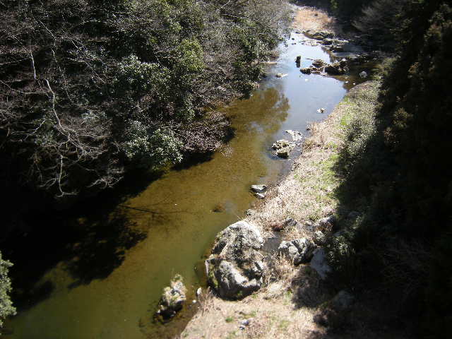 �������̖݂�