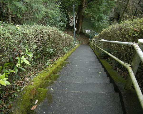 �������̖݂�