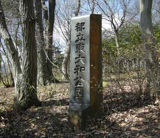 �������̖݂�