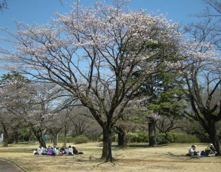 �������̖݂�