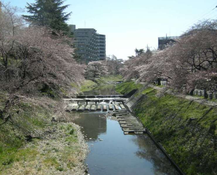 �������̖݂�