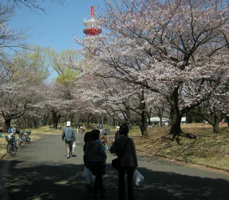 �������̖݂�