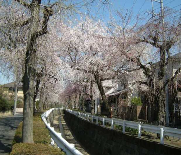 �������̖݂�