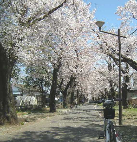 �������̖݂�