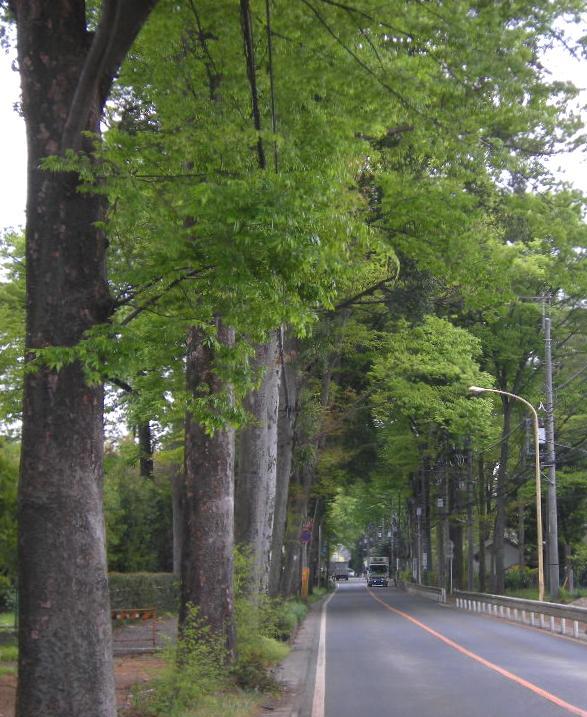 �������̖݂�