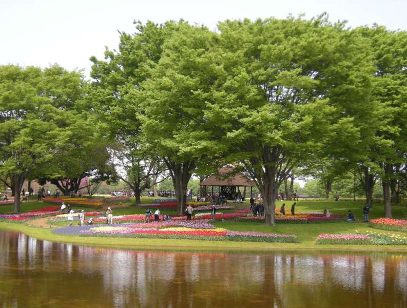 �������̖݂�