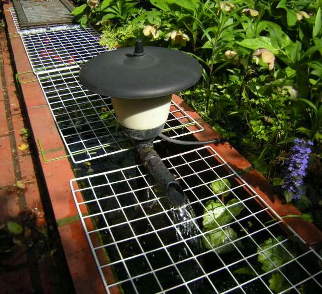 �������̖݂�