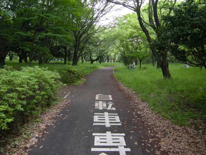 �������̖݂�