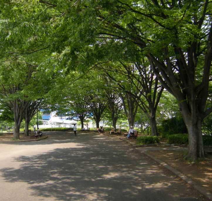 �������̖݂�