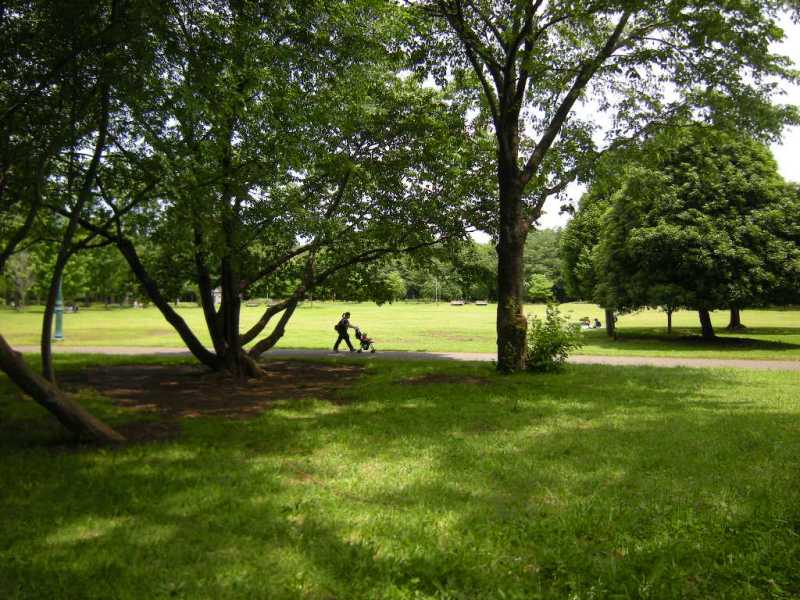 �������̖݂�