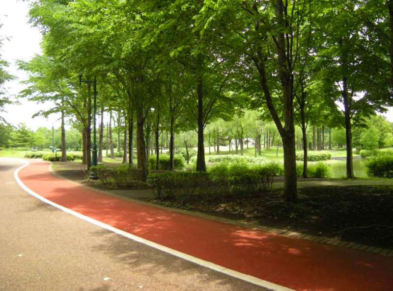 �������̖݂�