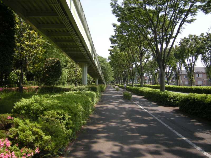 �������̖݂�