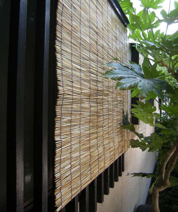 �������̖݂�