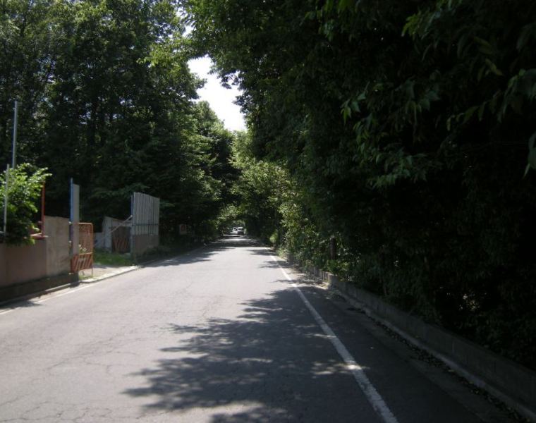 �������̖݂�