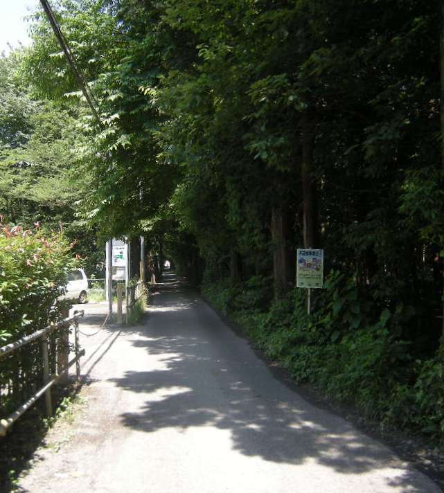 �������̖݂�