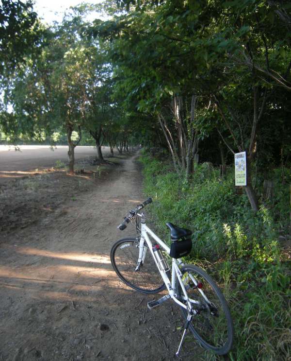 �������̖݂�