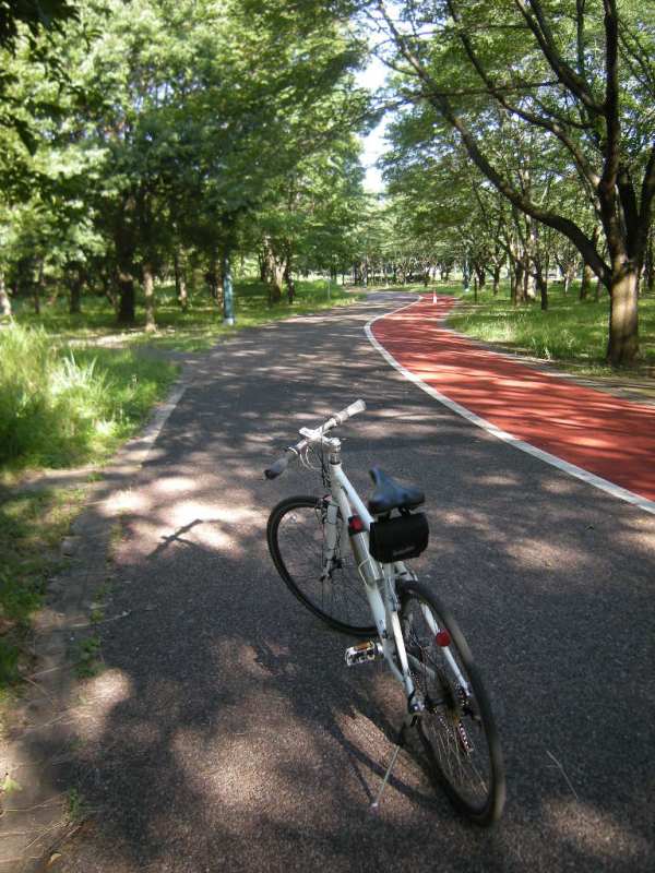 �������̖݂�