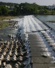 �������̖݂�