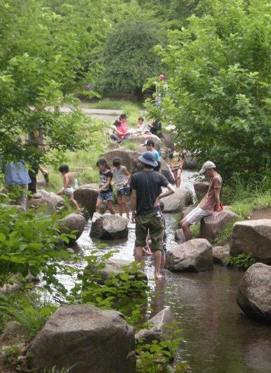 �������̖݂�