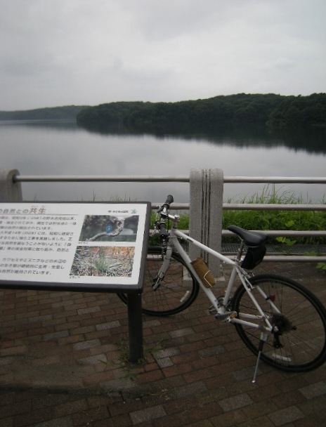 �������̖݂�