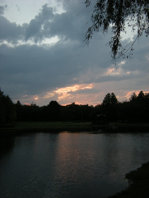 �������̖݂�