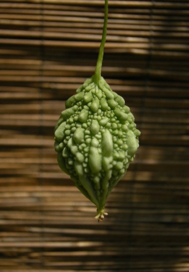 �������̖݂�