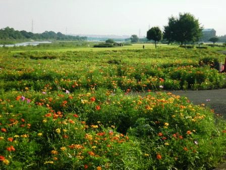 �������̖݂�