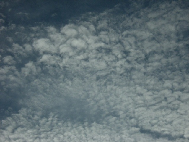 �������̖݂�