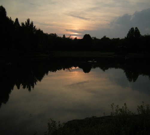 �������̖݂�