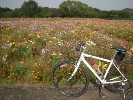 �������̖݂�