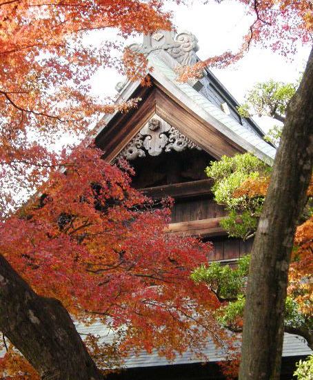 �������̖݂�