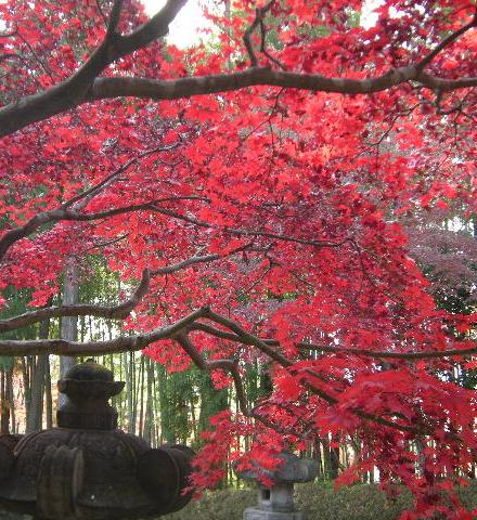 �������̖݂�