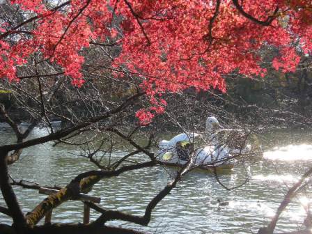 �������̖݂�