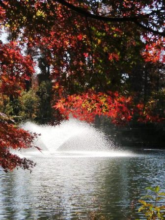 �������̖݂�