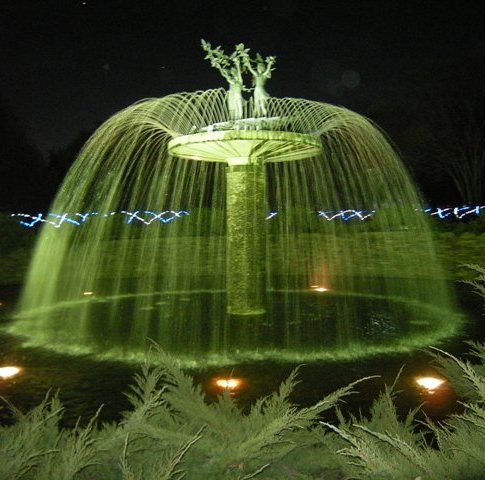 �������̖݂�