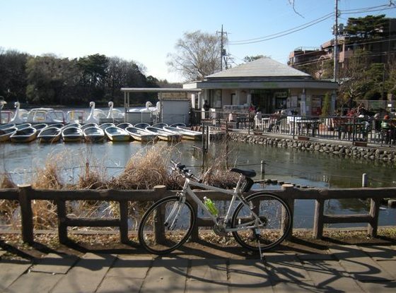 �������̖݂�