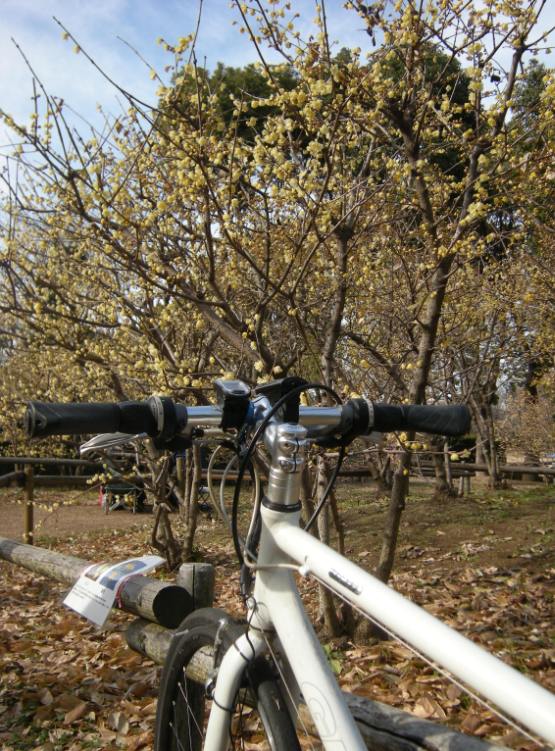 �������̖݂�