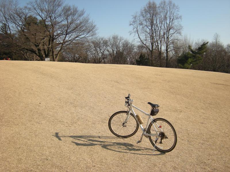 �������̖݂�