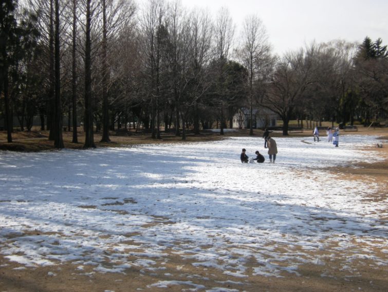 �������̖݂�