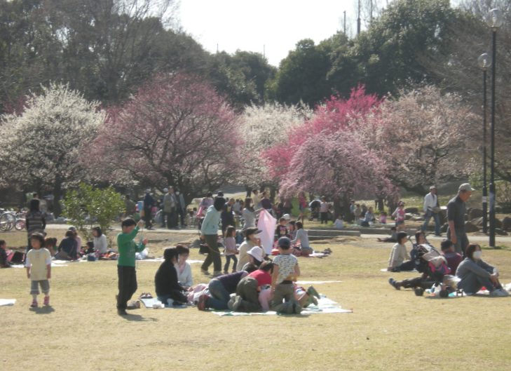 �������̖݂�