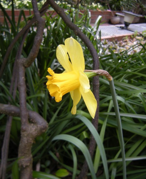 �������̖݂�