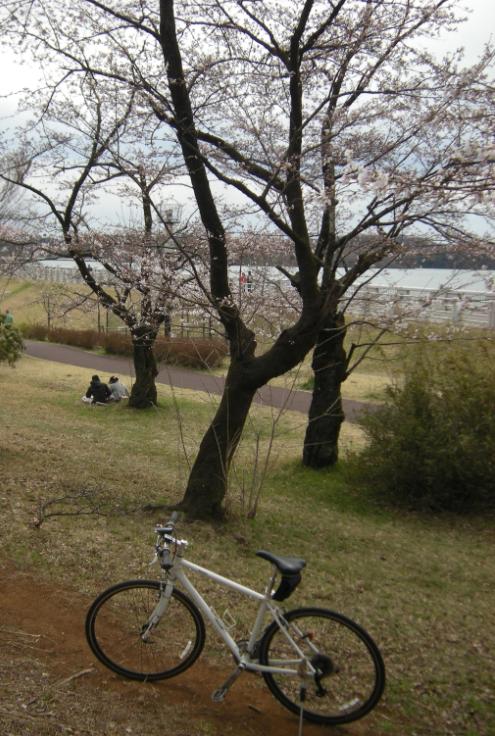 �������̖݂�