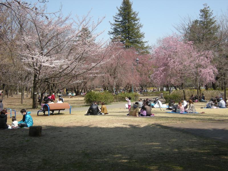 �������̖݂�