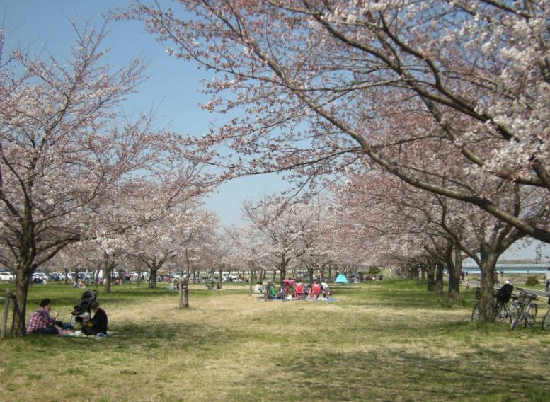 �������̖݂�