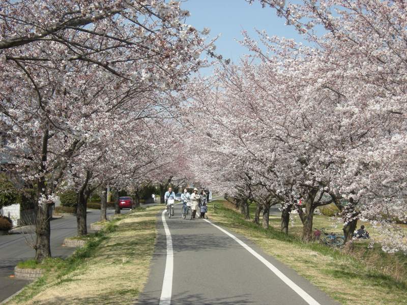 �������̖݂�