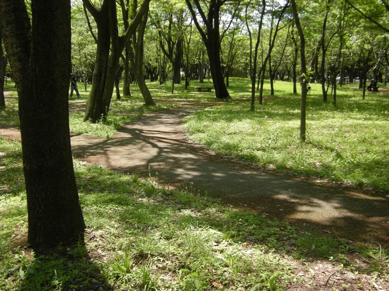 �������̖݂�