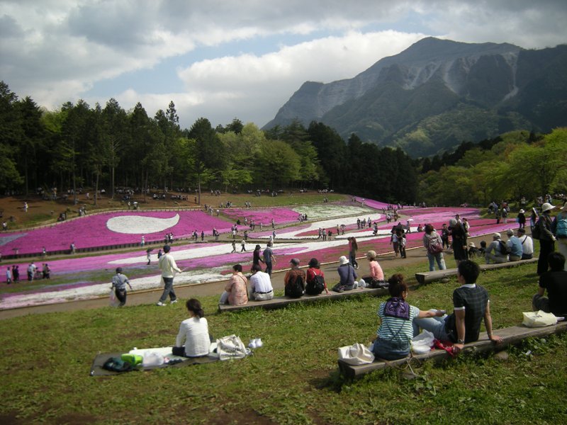 �������̖݂�