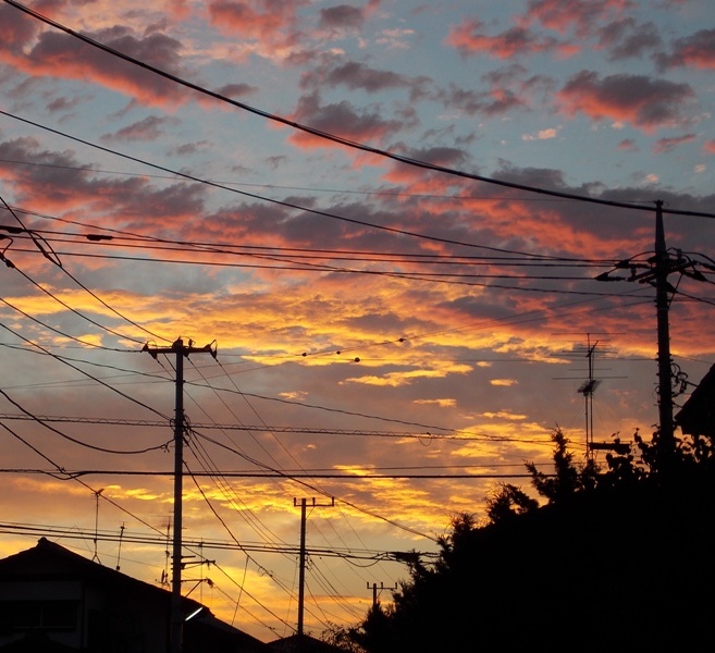 �������̖݂�