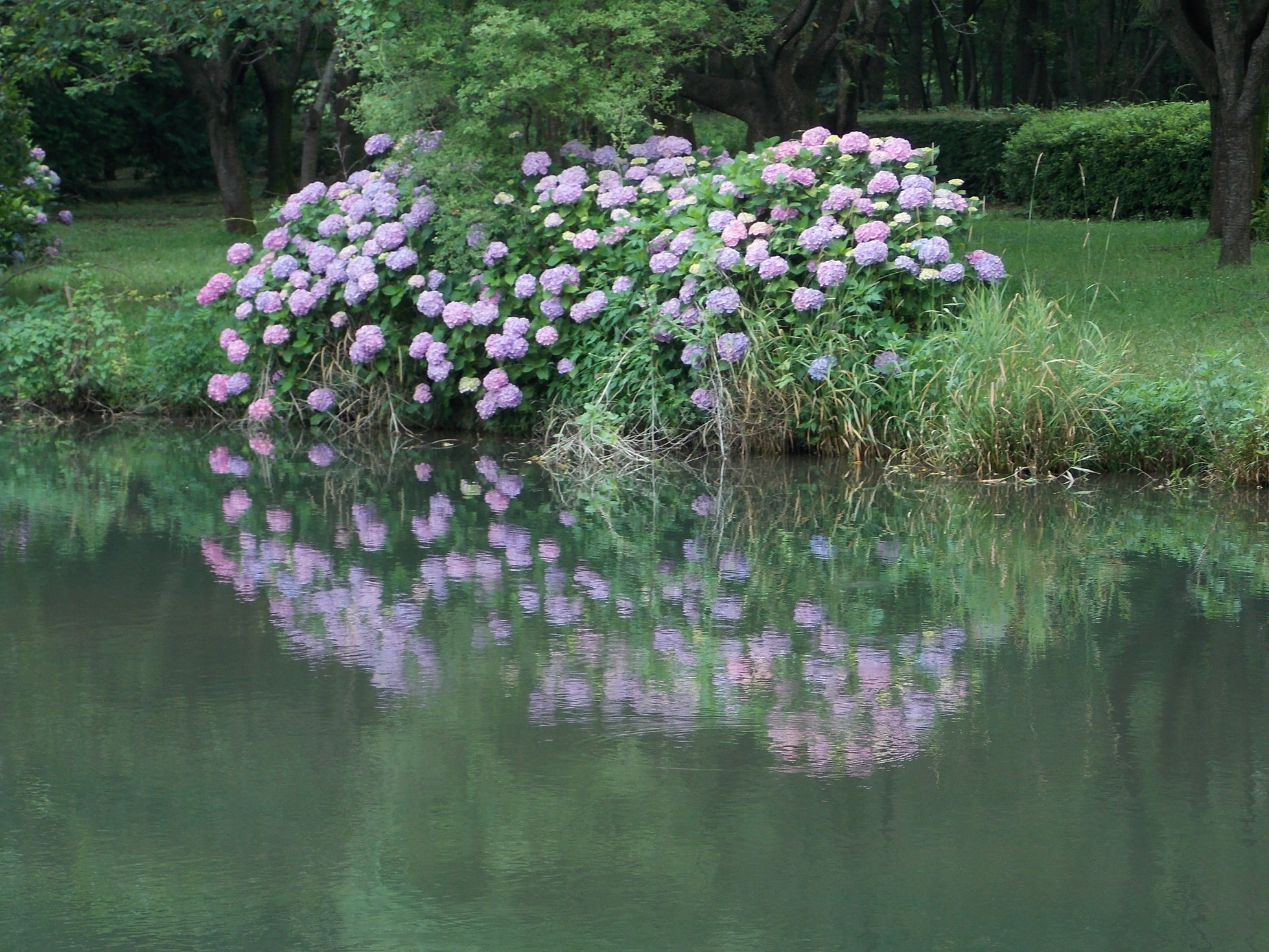 �������̖݂�