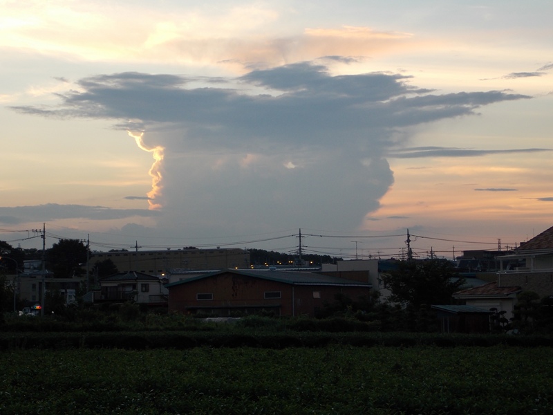 �������̖݂�